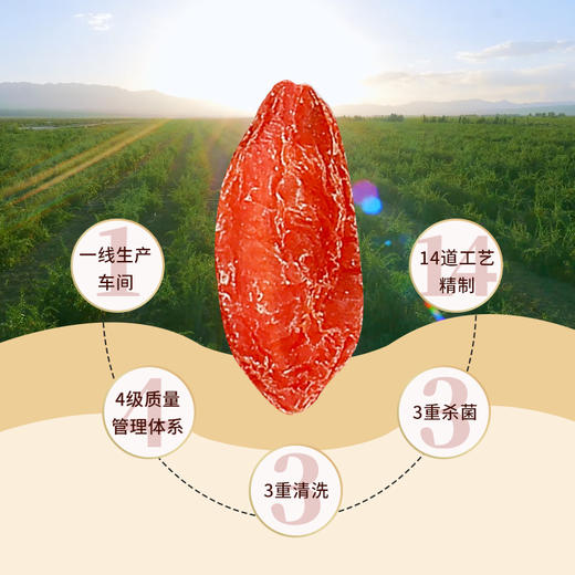 A-沃福宁夏枸杞特级100g（蓝） 商品图3