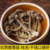 特级鹿茸菇500克/包 商品缩略图2