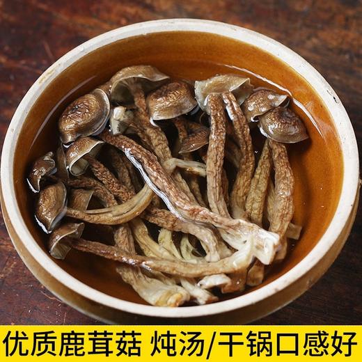 特级鹿茸菇500克/包 商品图2
