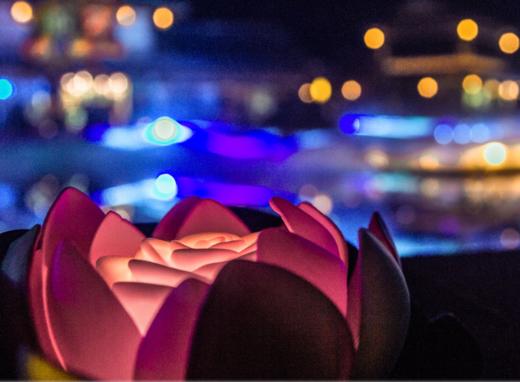 雷白cp带你游灵山，拈花一笑解烦忧 无锡拈花湾沉浸式自驾游 商品图1