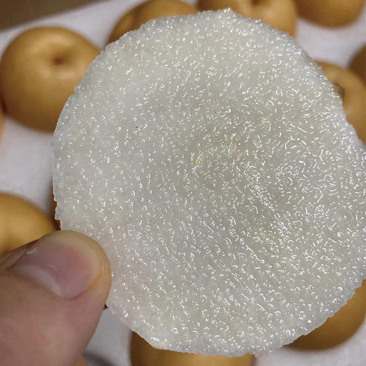 【厂商直发】小空山有机水果圆黄梨清甜多汁多规格可选包邮 商品图8