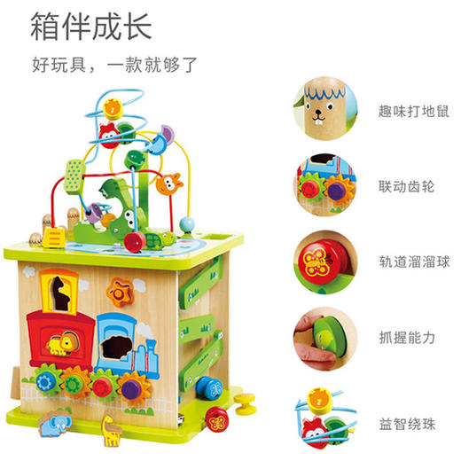 Hape森林动物游戏盒多功能绕珠一岁宝宝积木婴儿串珠儿童益智玩具开心农场 商品图3