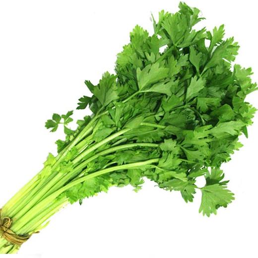 精选毛芹菜500g±50g