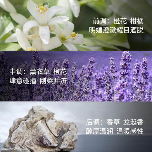现货▲YSL圣罗兰Libre肆意自由之水香水 EDP浓香持久花香调 50mL 商品图3