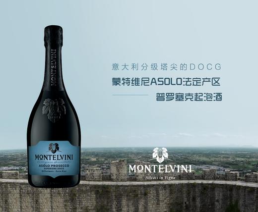 【蓝瓶】优质法定产区DOCG 蒙特维尼prosecco起泡酒 超天然干11%750ml 意大利原瓶进口 商品图0