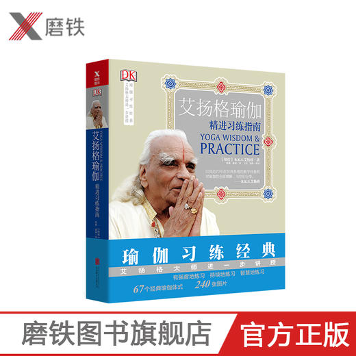 【磨铁图书正版】艾扬格瑜伽：精进习练指南（再版）67个经典瑜伽体式，240张图图片 瑜伽练习经典从入门到精通 艾扬格 商品图0