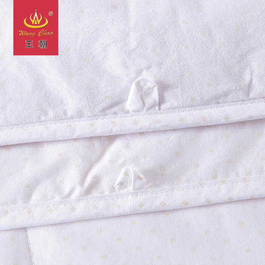 王朝富贵丝羊毛二合一被 商品图2