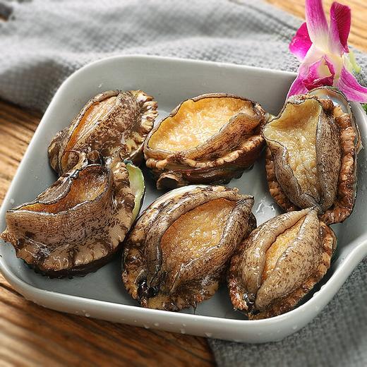 大连活鲍鱼【10头】