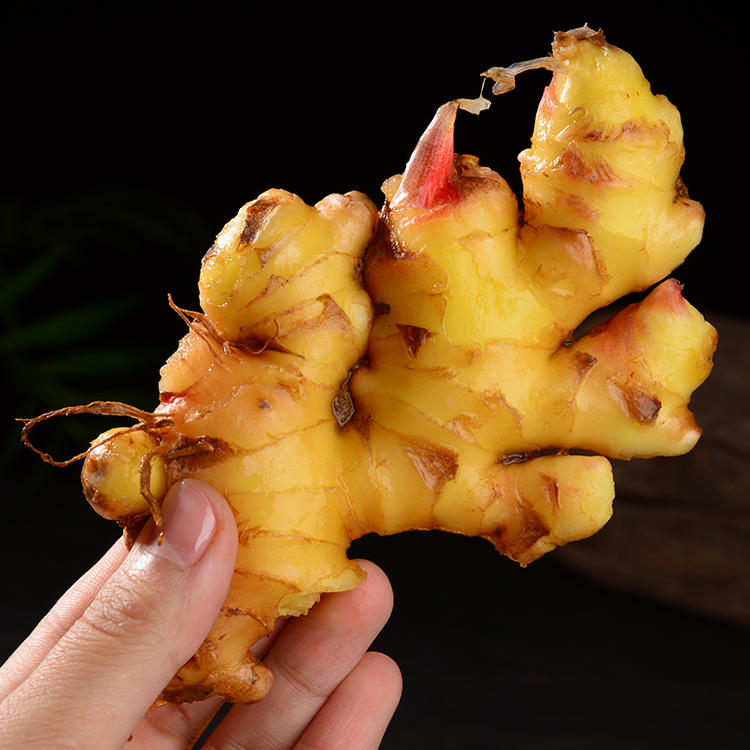 云南小黄嫩姜，地道云南味，香辣味足！