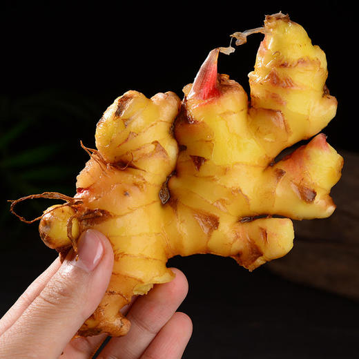 云南小黄嫩姜，地道云南味，香辣味足！ 商品图0