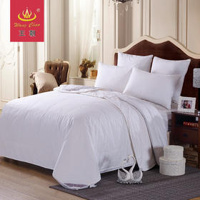 王朝富贵丝羊毛二合一被