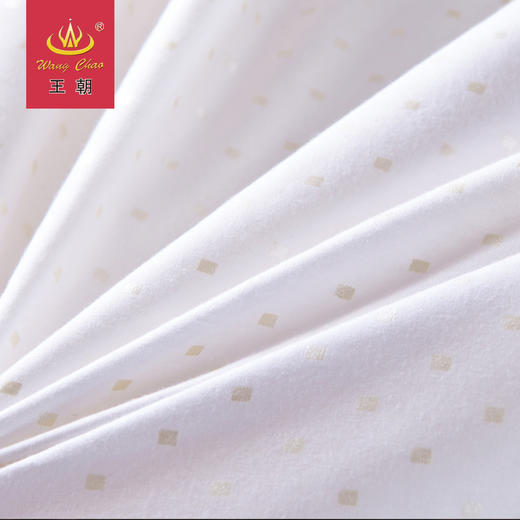 王朝富贵丝羊毛二合一被 商品图1