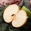 【下单后48小时左右发货】山东 青岛 莱西 秋月梨4.5斤装左右 商品缩略图6