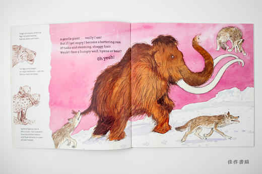 woolly mammoth 猛犸象