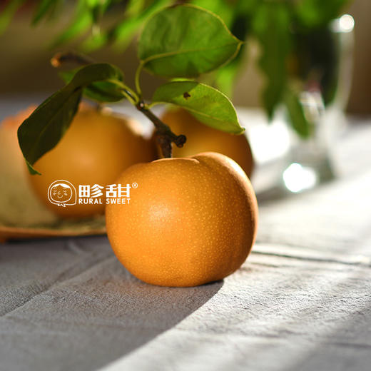 【下单后48小时左右发货】山东 青岛 莱西 秋月梨4.5斤装左右 商品图1