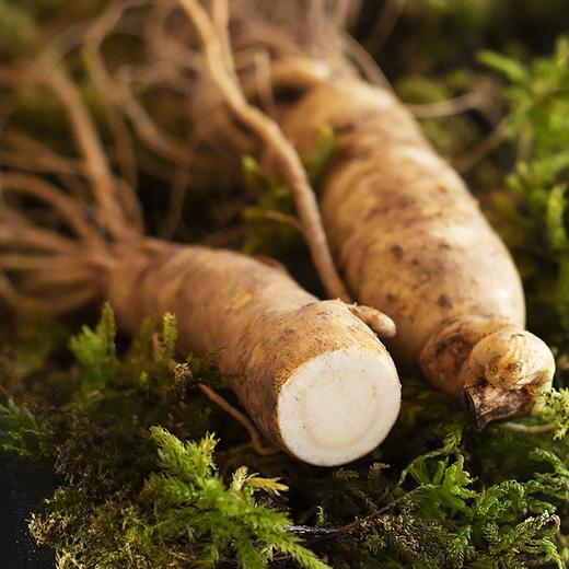 长白山鲜人参，山地种植，滋补不上火！ 商品图1