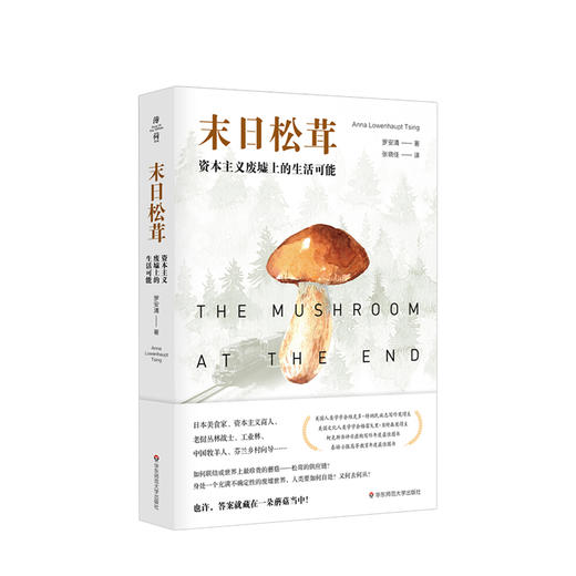 末日松茸 资本主义废墟上的生活可能 罗安清 著 经济学人类学社会科学非虚构文化书籍 商品图1