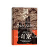 洞穴奇案 彼得萨伯著 虚构案例提升判断力决策力启发思辨法哲学专业领域寓言式文献 奇葩说辩手詹青云电台评讲 逻辑思维推荐 商品缩略图1