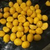 沂蒙山老树野生粟子板栗 3/5斤装 商品缩略图8