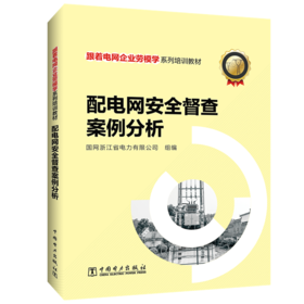 跟着电网企业劳模学系列培训教材 配电网安全督查案例分析