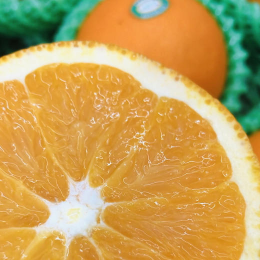 澳洲阳光甜橙非常嫩化渣橙子果皮颜色偏橙红色肉质细嫩汁水丰润鲜甜橙