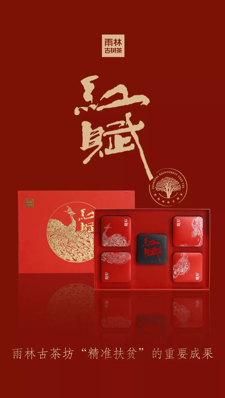 雨林古树茶红赋古树红茶云南大叶种古树鲜叶40克盒5盒提