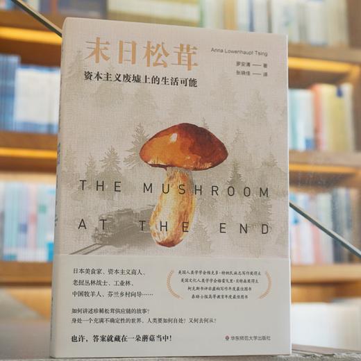 末日松茸 资本主义废墟上的生活可能 罗安清 著 经济学人类学社会科学非虚构文化书籍 商品图2
