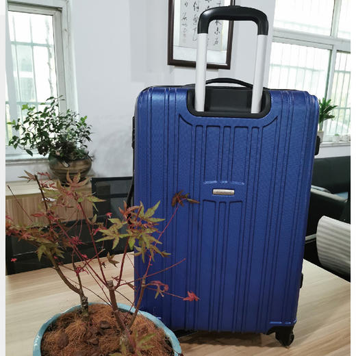 北欧大牌 cavalet 银座行李箱 超大尺寸28寸加25%扩容拉杆箱旅行箱A-868 商品图10