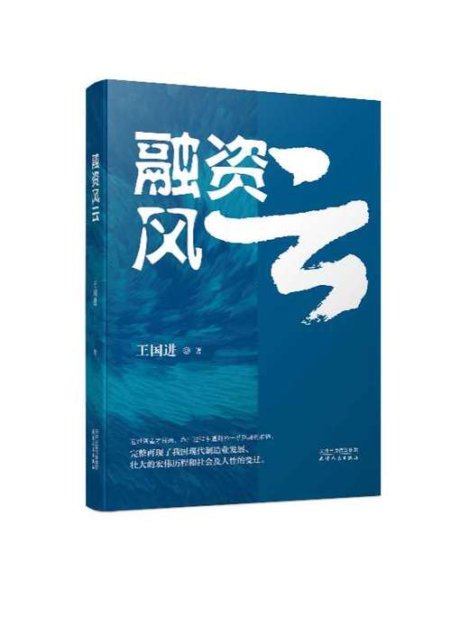 资本迷局+融资风云  王国进著 商品图2