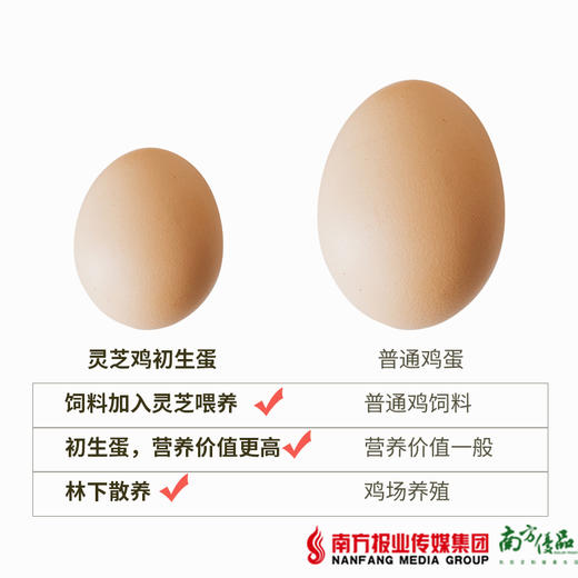 【广州包邮】灵芝鸡蛋 30枚/盒（72小时内发货） 商品图1
