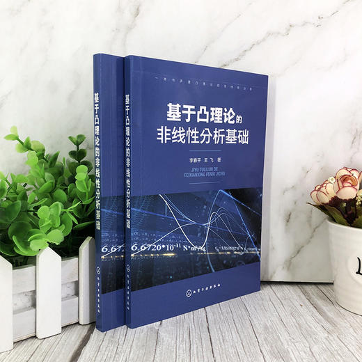 基于凸理论的非线性分析基础 李春平 王飞 高校数学及相关专业教材 大学数学教材考研研究生用书 赋范空间的凸性 锥理论与半序关系 商品图2