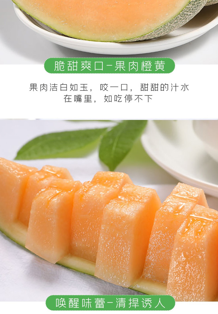 都知果蜜瓜皮薄肉厚香甜爽口