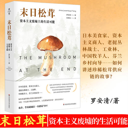 末日松茸 资本主义废墟上的生活可能 罗安清 著 经济学人类学社会科学非虚构文化书籍 商品图0