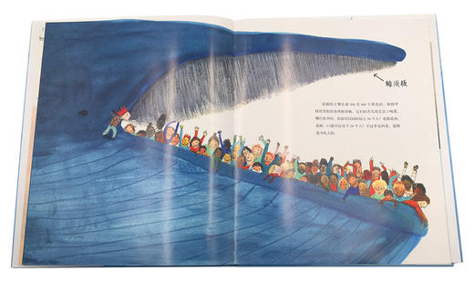 【点读版】科普绘本：蓝鲸（精） 商品图3