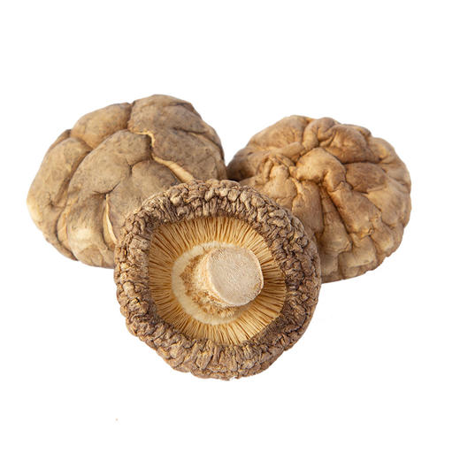 林中宝 原木粤北小香菇 香菇宝宝 清香鲜嫩美 全国非偏远地区包邮 商品图3