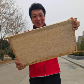 天然成熟完整巢脾