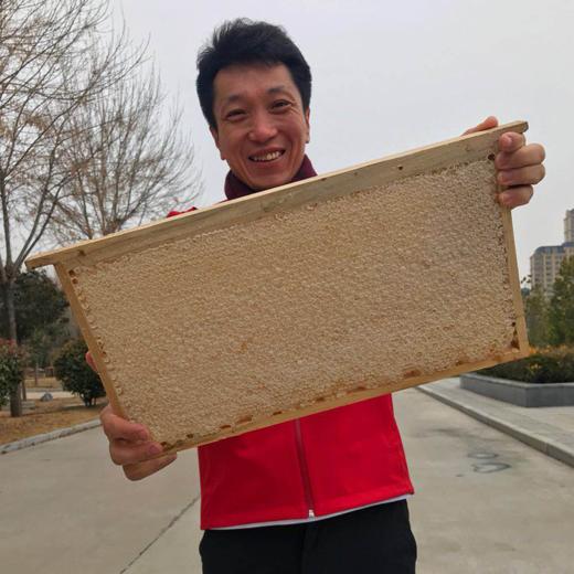 天然成熟完整巢脾 商品图0