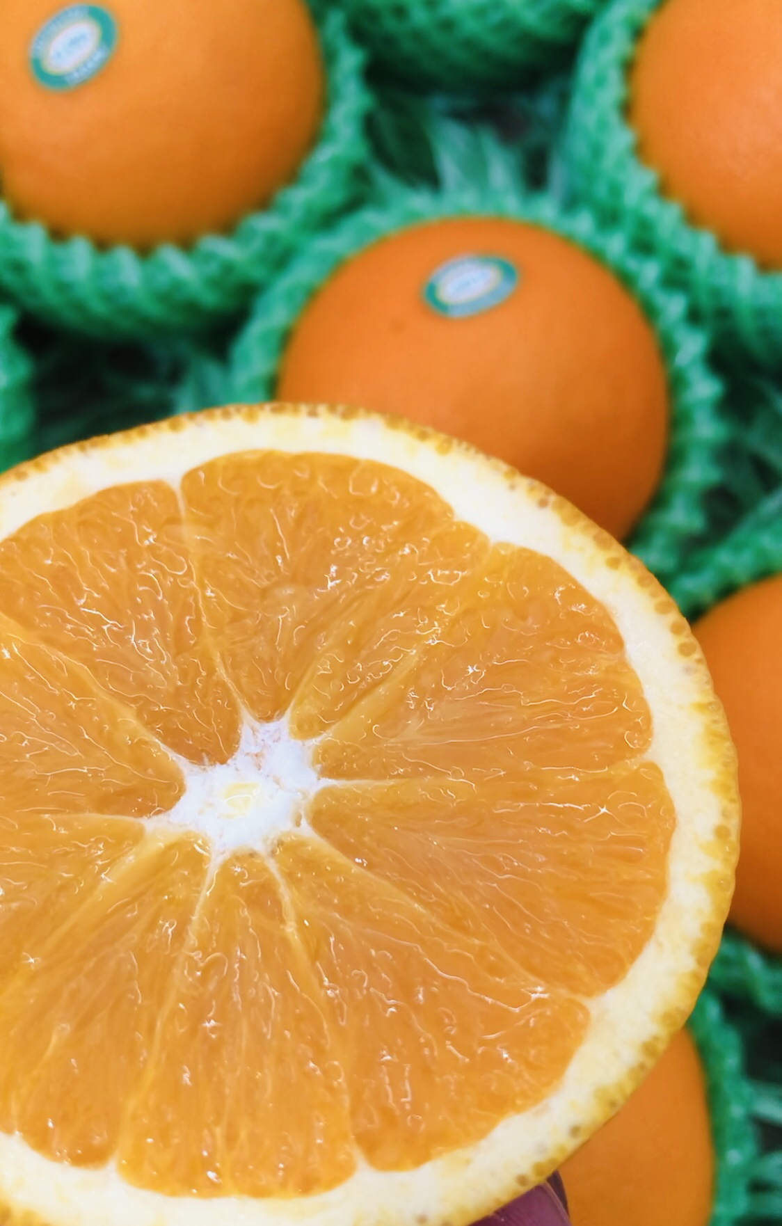 偏橙红色肉质细嫩汁水丰润鲜甜橙味浓是目前口感较好的澳橙单果约230g