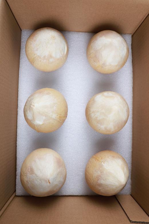 泰国椰皇  4.55斤5个装（单果450g左右）   顺丰包邮 商品图1