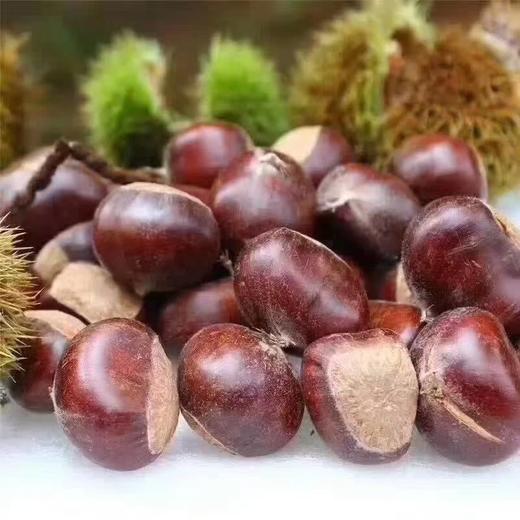 沂蒙山老树野生粟子板栗 3/5斤装 商品图2