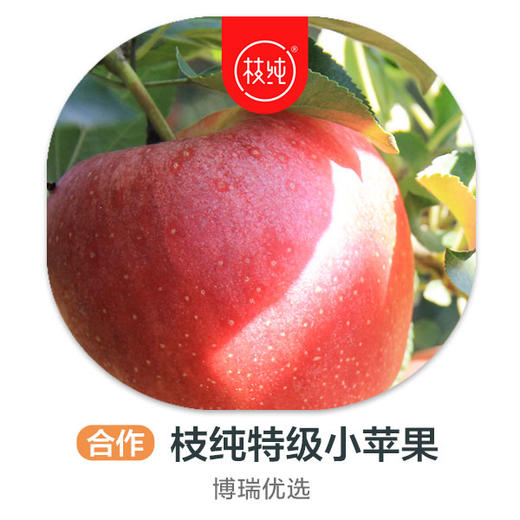 智力嘎啦果750g丨份 商品图0