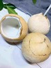泰国椰皇  4.55斤5个装（单果450g左右）   顺丰包邮 商品缩略图0