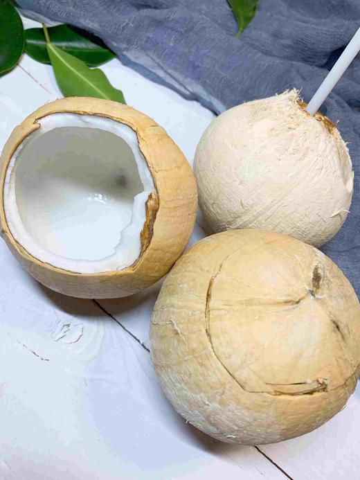 泰国椰皇  4.55斤5个装（单果450g左右）   顺丰包邮 商品图0