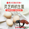 【广州包邮】灵芝鸡蛋 30枚/盒（72小时内发货） 商品缩略图0