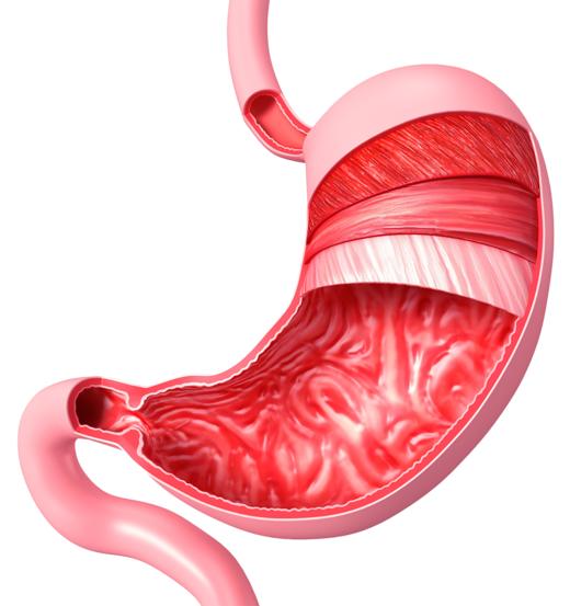 第02课：胃经线路及重要穴位.m4a 商品图0