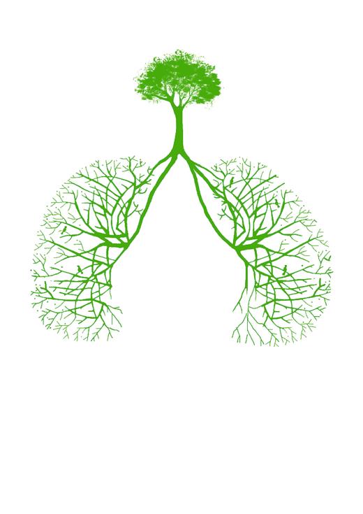 第01课：肺经路线及重要大穴 商品图0