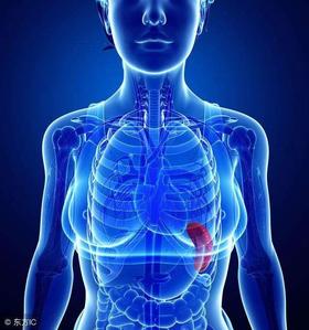 第04课：脾经线路及重要穴位