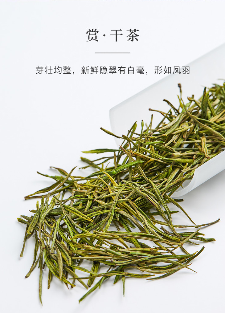 八马茶业丨春茶安吉白茶绿茶茶叶罐装60g