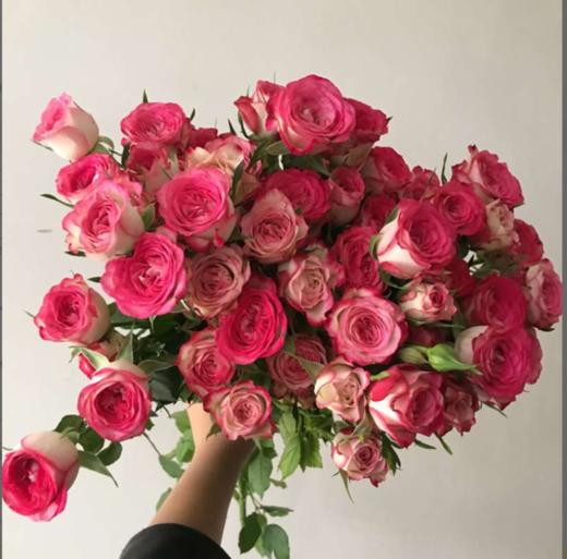 4pp多头玫瑰狮子座10枝扎