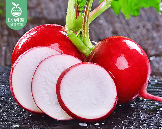 云南昆明樱桃小萝卜（400g±20g/份） 商品图2